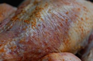 kylle12.JPG-for-web-normal