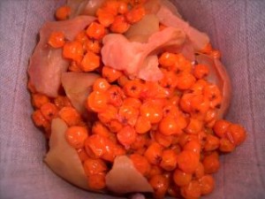 3787_PICT2003_1.jpg-for-web-normal