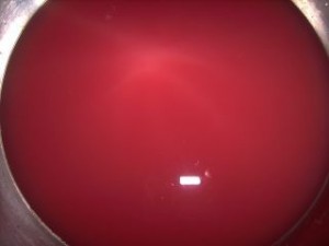 3787_PICT2004_1.jpg-for-web-normal