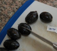 DSC_0221.JPG-for-web-large