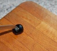 DSC_0229.JPG-for-web-large