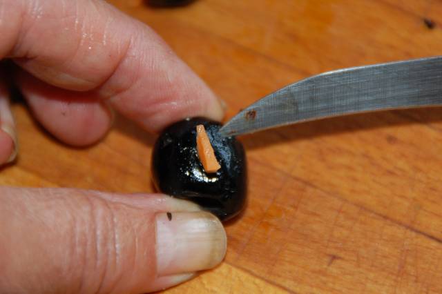 DSC_0235.JPG-for-web-large