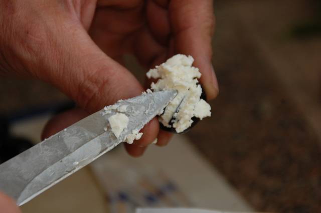 DSC_0241.JPG-for-web-large