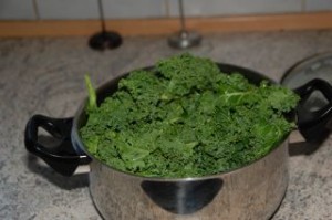 DSC_0317.JPG-for-web-normal