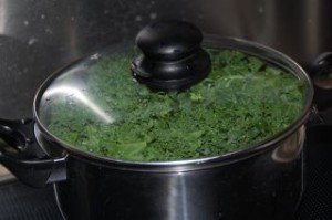 DSC_0319.JPG-for-web-normal-1325680710