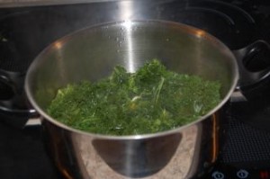 DSC_0320.JPG-for-web-normal-1325680743