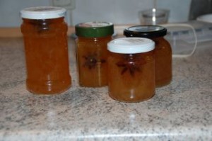 DSC_0567.JPG-for-web-normal