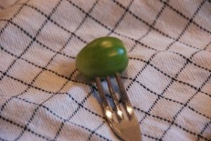 image002.jpg-for-web-normal