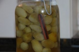 image006.jpg-for-web-normal