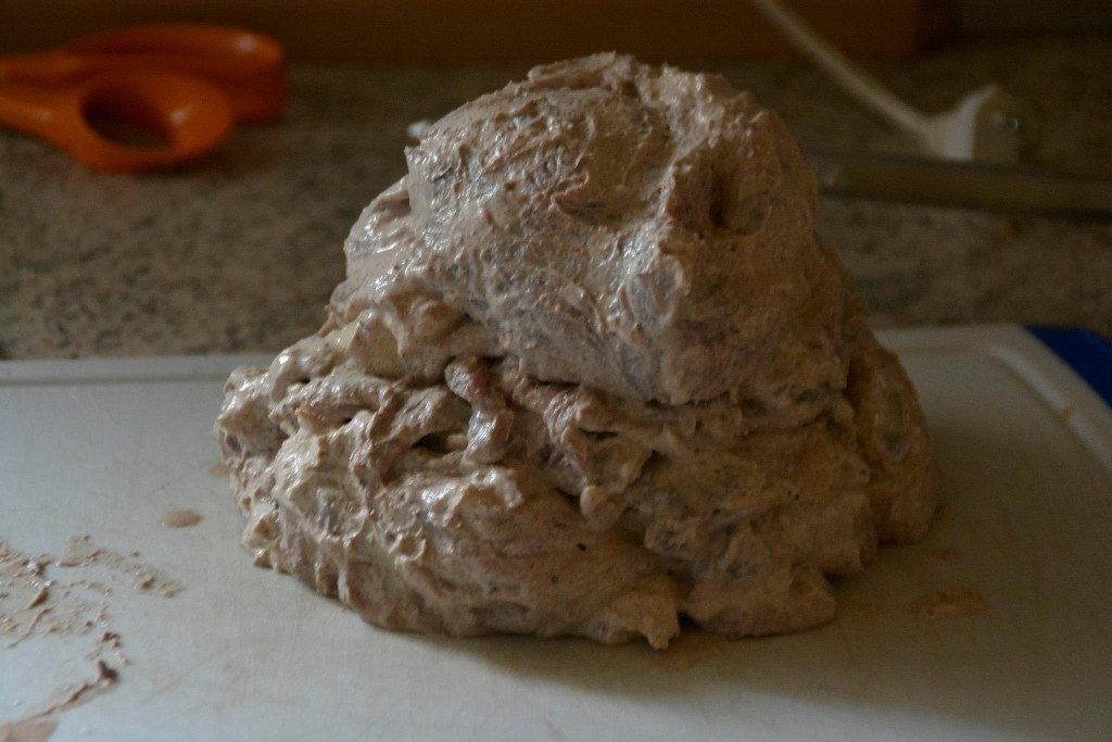 11892301_1153812371298981_4846661907839124694_o