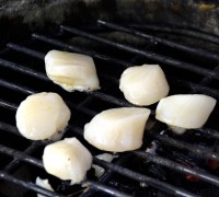 _DSC0031_7710