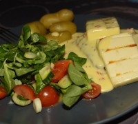 DSC0169_1776-1024x683