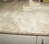 DSC0440_778-1024x683