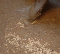 bageferment6.JPG-for-web-normal