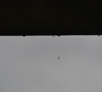 1-_DSC0117_8705